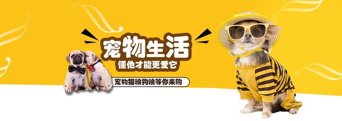 USDT钱包(Tether)钱包苹果版