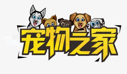 泰达币钱包安卓版