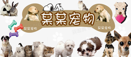 泰达币钱包苹果版